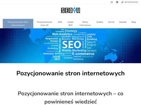 Pozycjonowanie4u.pl projektowanie stron