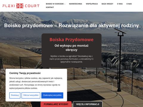 Flexicourt.pl - przydomowe boiska