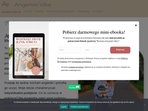 Angielskivibe.pl - język angielski online