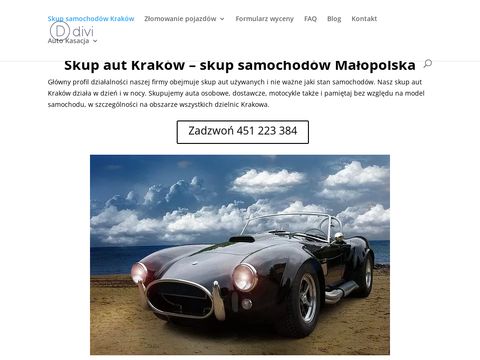 Skupaut.malopolska.pl - jak skorzystać