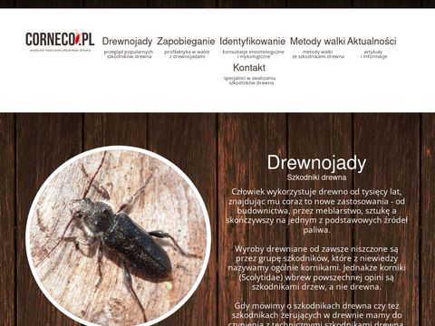 Corneco.pl - zwalczanie owadów w drewnie