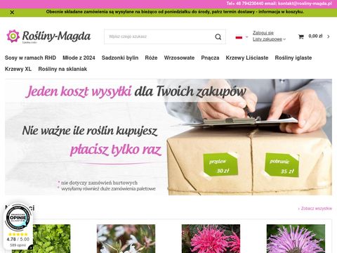 Rosliny-magda.pl - wysyłka roślin ozdobnych