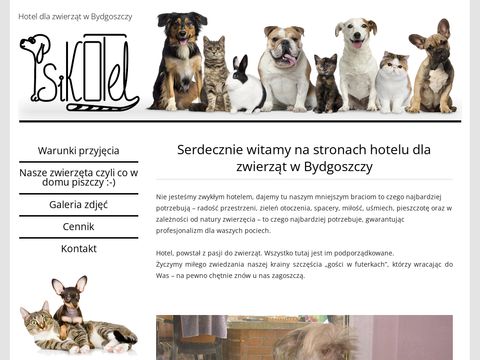 Psikotel.bydgoszcz.pl hotel dla zwierząt