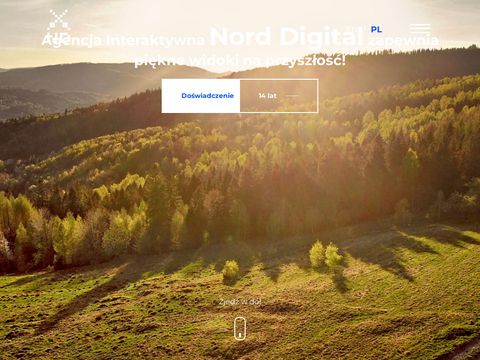 Norddigital.com kampanie reklamowe