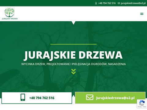 Jurajskie Drzewa - wycinka drzew