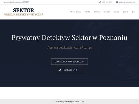 Sektor detektyw