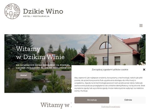 Dzikie Wino wesela Zduńska Wola
