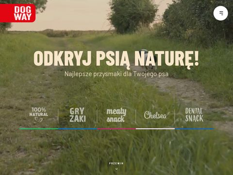 Dogway - przysmaki dla psa tanio