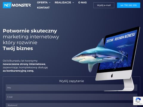 Netmonster.pl - sklepy internetowe