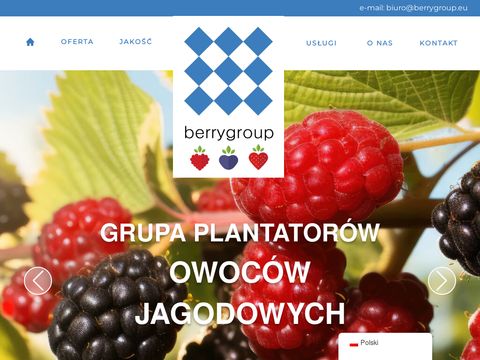 Berrygroup producent borówki amerykańskiej