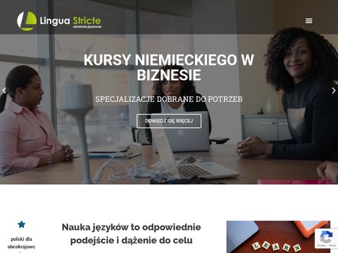 Linguastricte.pl angielski dla firm Poznań