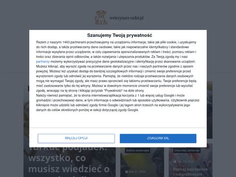 Weterynarz-radzi.pl