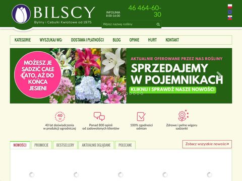 Bilscy.info - byliny i cebule