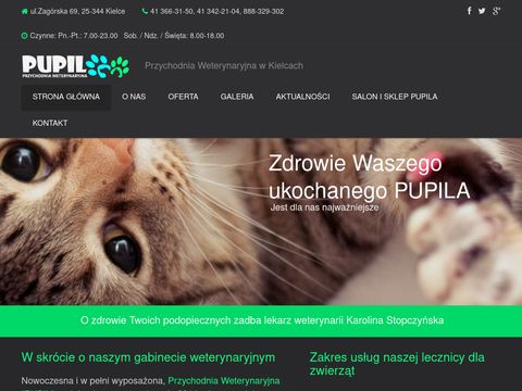 Weterynarzkielcepupil.pl