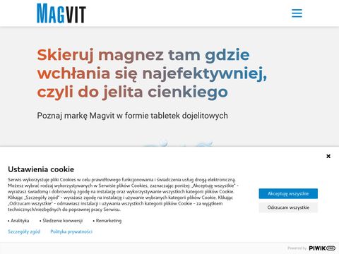 Magvit.com.pl