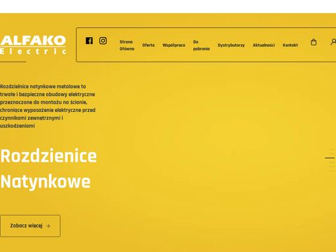 Alfako-electric.pl - obudowy hermetyczne